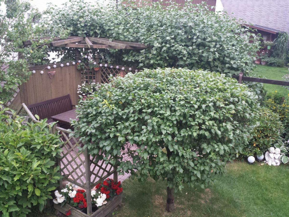 Fewo Hage Langelsheim Exteriör bild